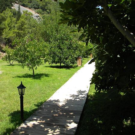 Azra Villas Çıralı Quarto foto