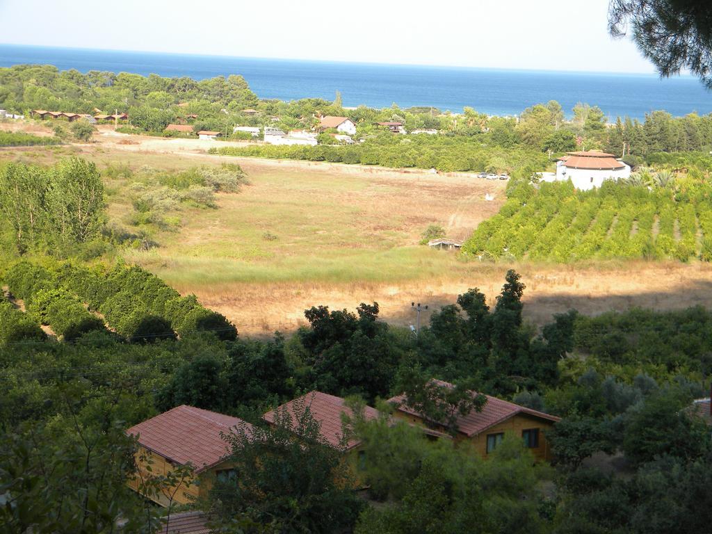 Azra Villas Çıralı Quarto foto