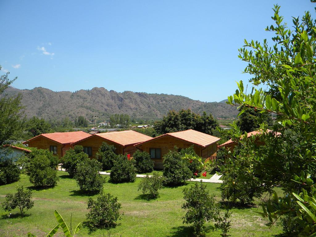 Azra Villas Çıralı Quarto foto
