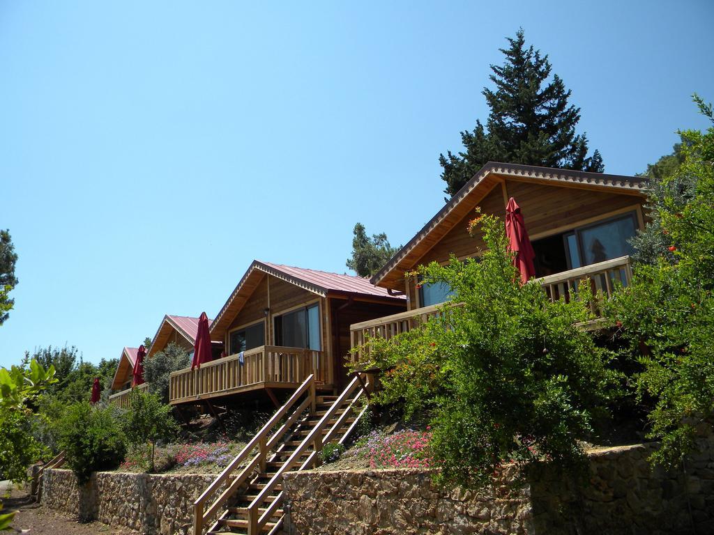 Azra Villas Çıralı Quarto foto