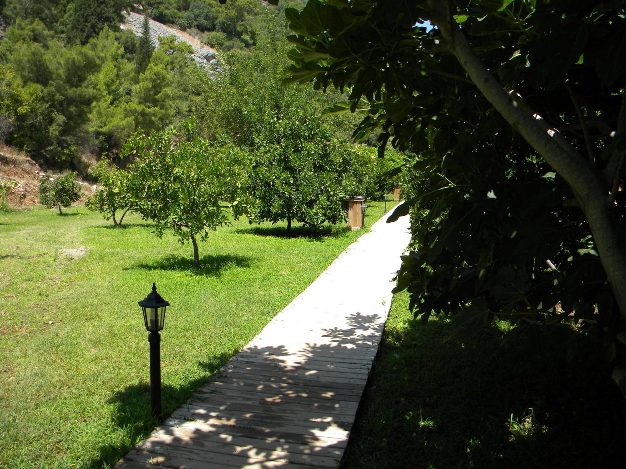 Azra Villas Çıralı Quarto foto