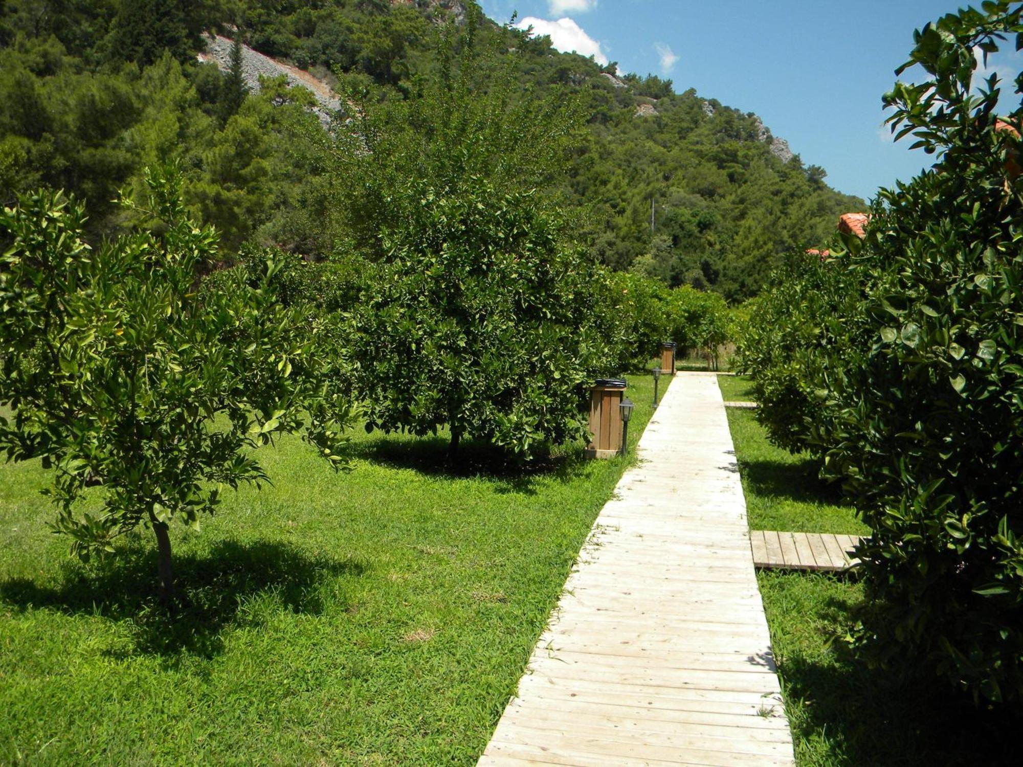 Azra Villas Çıralı Quarto foto